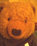 Teddy is two years old.