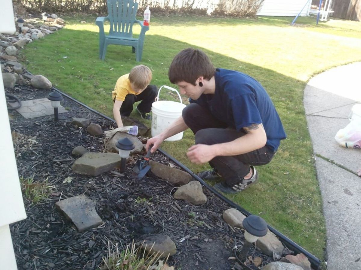 Nephew Billy and great nephew Owen digging for worms.  Maybe Owen will own a Bait & Tackle Shop one day?