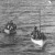 Standard  lifeboat No. 14 towing an Englehardt collapsible life toward R.M.S Carpathia