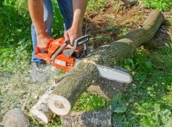 Working with Chain Saws