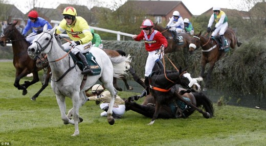 Is it fair to make horses race on a course where there is a high risk of death? Would you still want to take part if there was a chance you might be that horse?