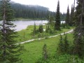 Environmental Activities For Your Children