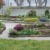 Cultivated plants by the tennis courts Cultivated plants by the tennis courts