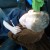 Our six year old son didn't fall asleep until we were in South Carolina. Bring a blanket on a long road trip - it can serve as a pillow! Our six year old son didn't fall asleep until we were in South Carolina. Bring a blanket on a long road trip - it can serve as a pillow!