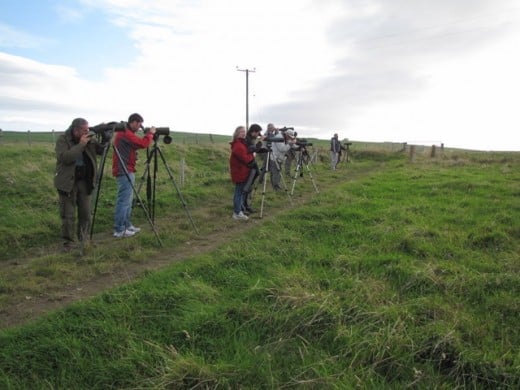 These twitchers are observing a sandhill crane in Southern England. Sandhill's are native to North America and parts of Siberia.
