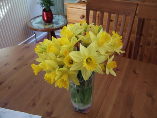 Daffodils in a glass vase!