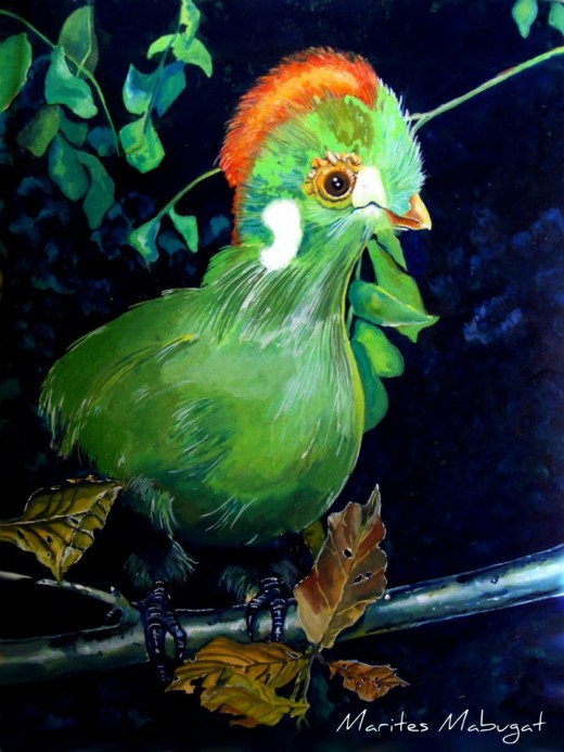 Painting/Illustration; Medium - poster colour ~~~ Bird painted on illustration board.
