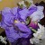 Looking closely at the Russian iris. Looking closely at the Russian iris.