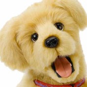 FurRealBiscuit profile image