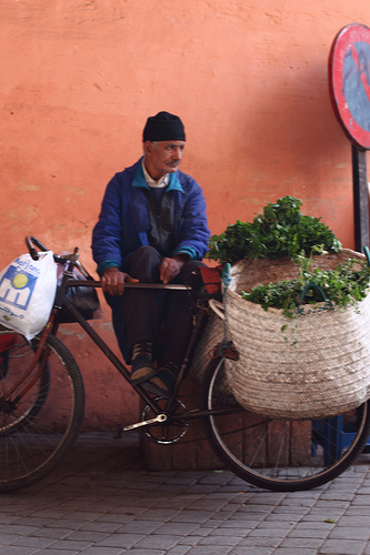 Medicinal Herbs have been used and sold worldwide since ancient times.