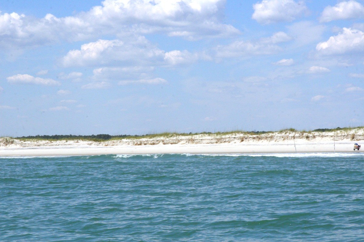 Huntington Beach State Park, as viewed from our dolphin cruise.