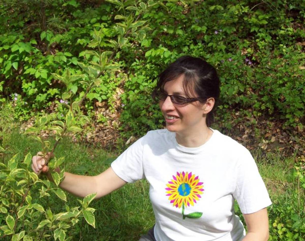 Earth Day Arts and Crafts: Make a T-Shirt | HubPages
