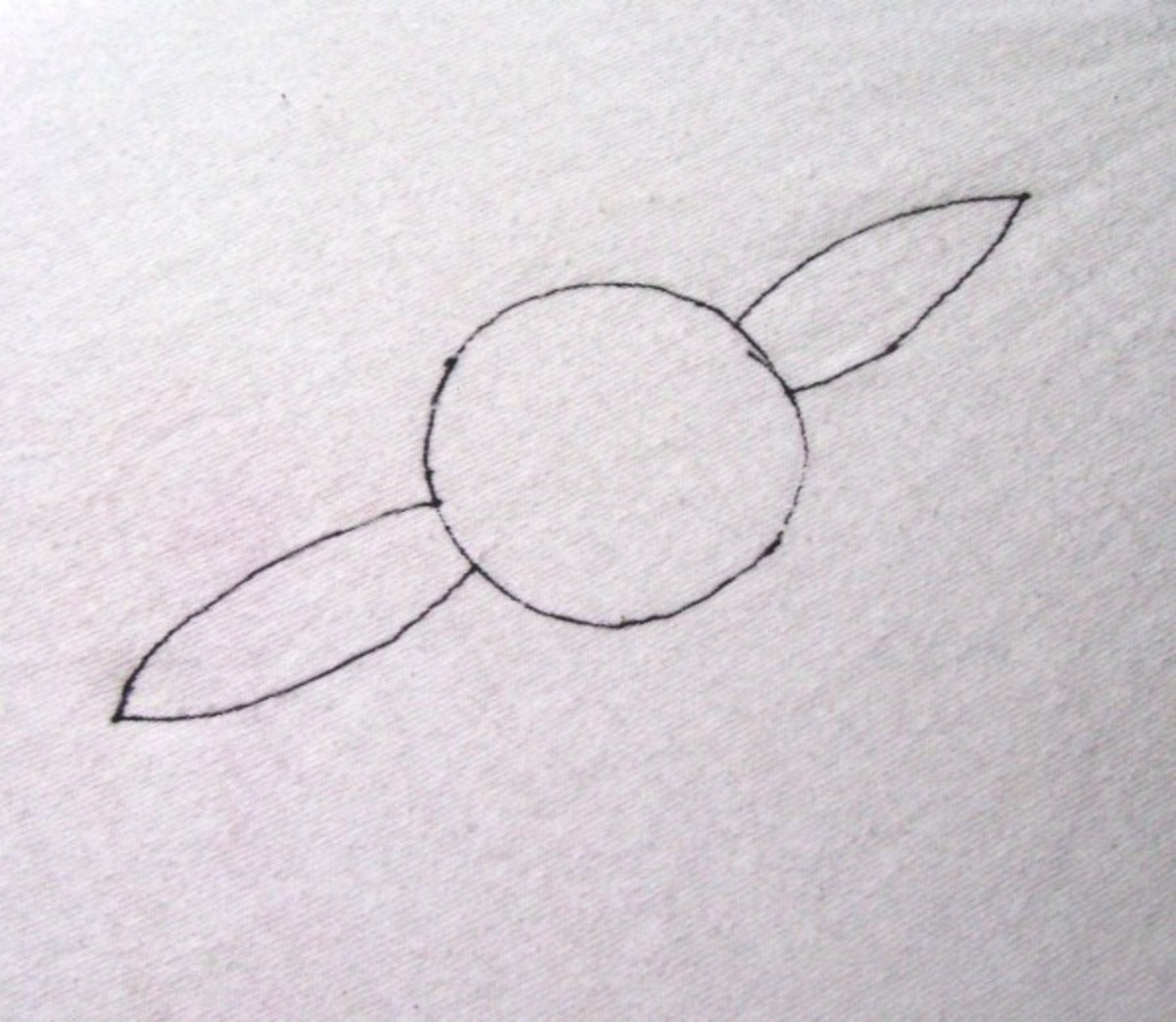 Draw the first petals opposite each other to help achieve good spacing and balance.
