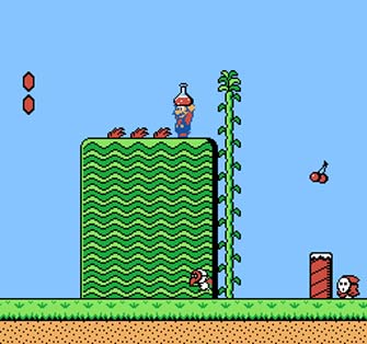 Mario holding a red potion that reveals a hidden door,