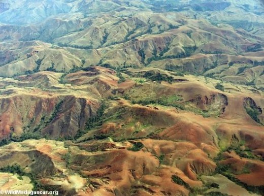 This photo shows the massive land erosion due to deforestation