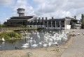 Slimbridge Wetland Centre: A Visitors Guide