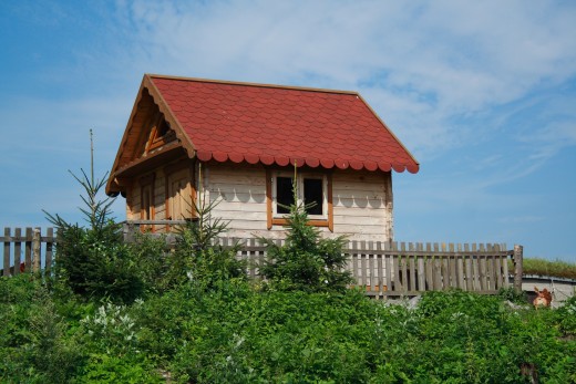 Just a cute little house that I found on the internet and liked. There are so many styles and types that deciding on one is hard to do..