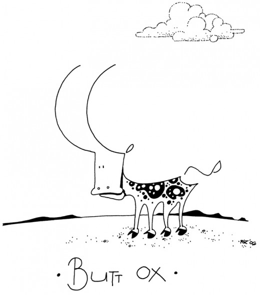 Ever wonder why I named him Butt Ox?