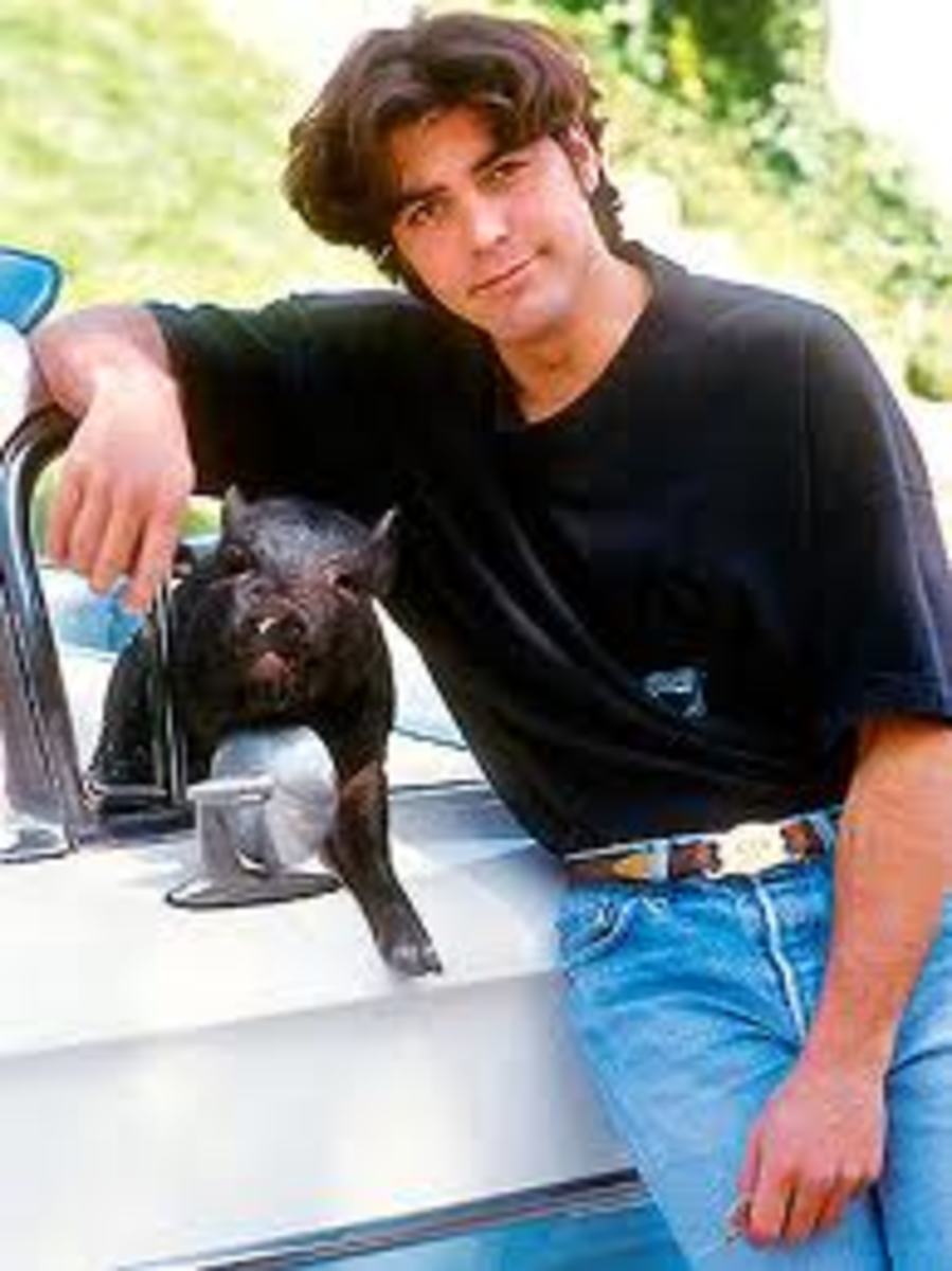 Max was Clooney's pet for 18 years. He was laid to rest in 2006. Max was actually purchased for George's then girlfriend Kelly Preston who later married John Travolta.