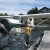 Tofino Airways Tofino Airways