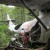 Tofino Canso Crashed Plane Tofino Canso Crashed Plane