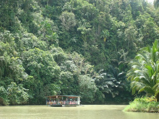  River cruise on the Loboc River (Photo by ericlucky290, February 23, 2008)