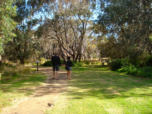 The track to the lake