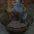 Wet puttu powder using warm water mixed with needed salt to taste
