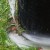Grass loves to build up on the outer base of the coils. Grass loves to build up on the outer base of the coils.