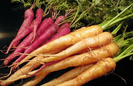 Purple and Orange Carrots