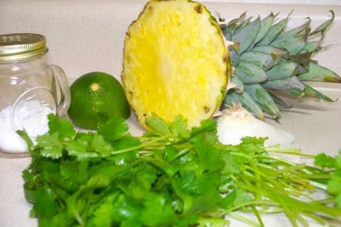 Ingredients for the specialized tacos al pastor pineapple relish.