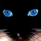 MsMeli profile image