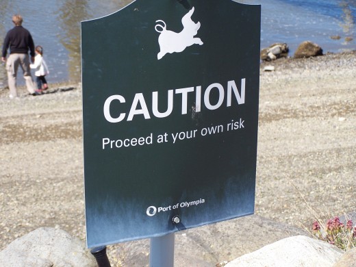 Search the internet with extreme caution