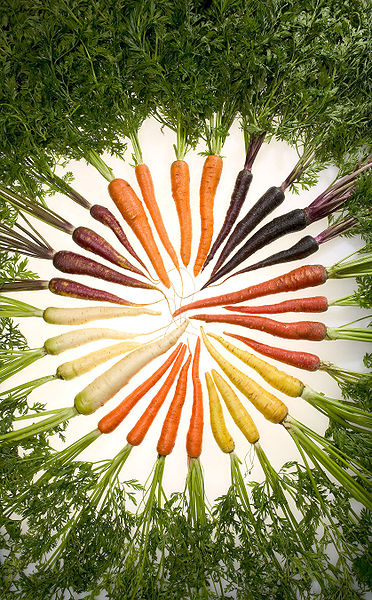 Assorted varieties of carrots