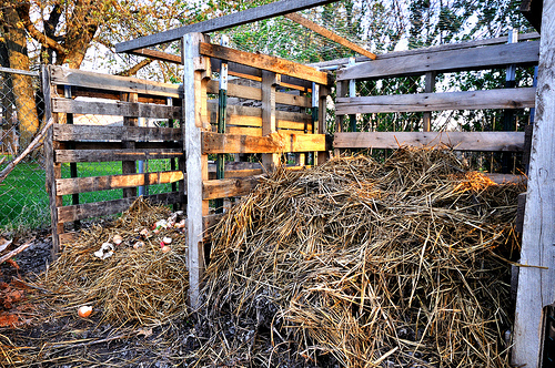 Compost Bins