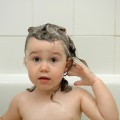 Choosing an Organic Shampoo