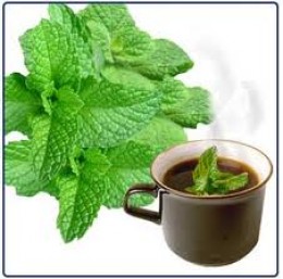 Mint Leaves The Marvellous Herbal Home Remedy   6548805 F260 