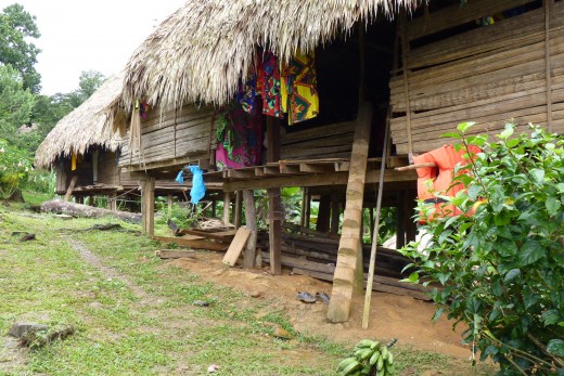 An Embera Indian home with notched log as ladder to climb into it. Notice the crocks left outside by the children who just returned from school.