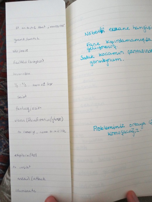And here you can see the next page, on which I've written a contextually meaningful sentence to make sure that I've got a handle on the usage.