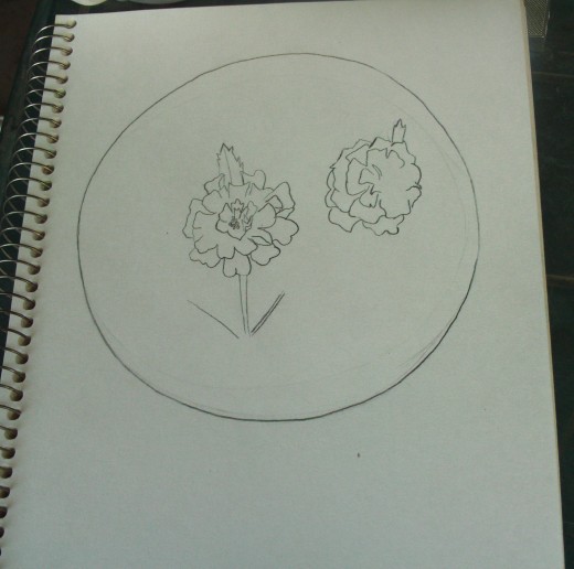 Beginning to sketch out the marigolds.