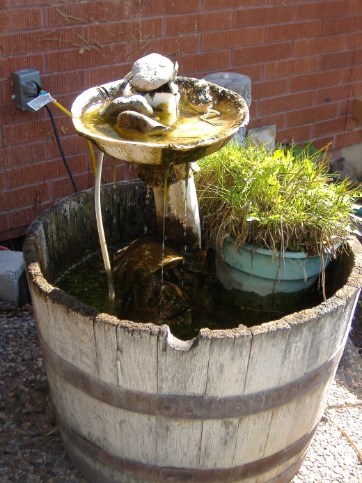 A simple and in-expensive fishpond.