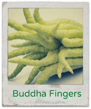 Buddha Fingers