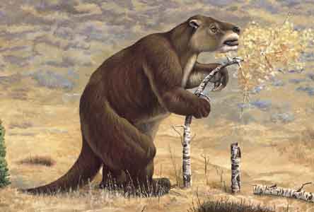 Megatherium (Giant Ground Sloth)