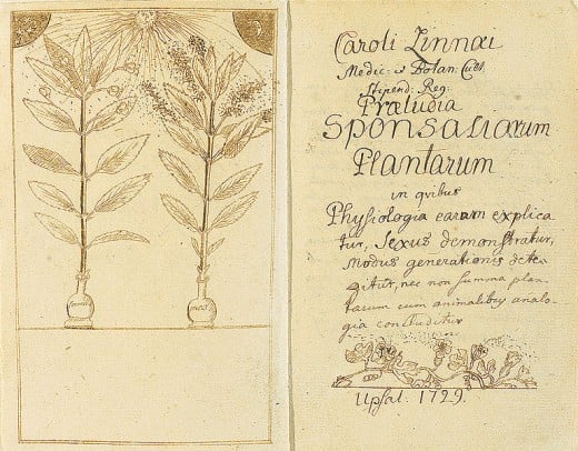Pollination depicted in one of Linnaeus'  works.