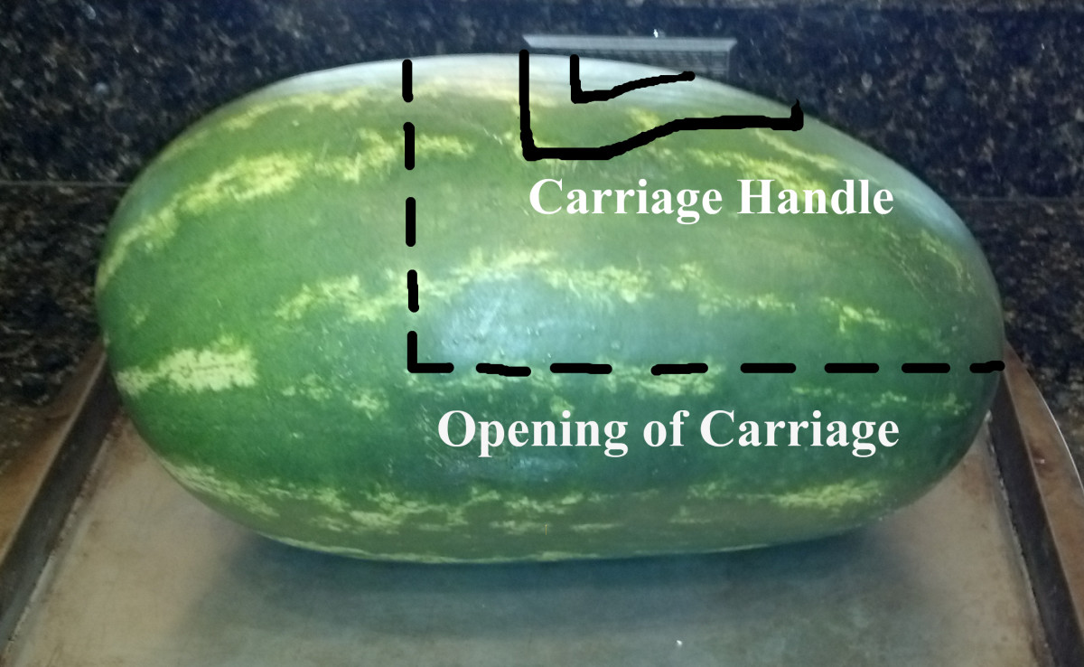how to make a baby carriage out of a watermelon