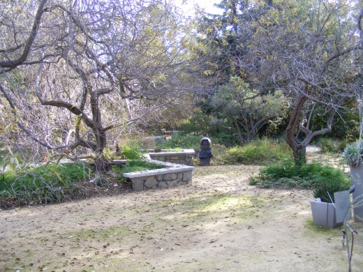 Rancho Santa Ana Botanic Garden