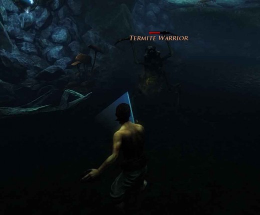Risen 2 Defeat Warrior Termite and complete Sugar Shipment Quest, on route to becoming a pirate