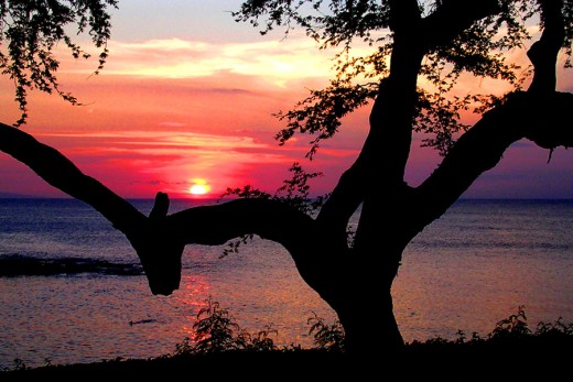 This wonderful red sunset can make for a beautiful venue for an outdoor wedding.