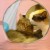 Jam and Moka, of Nagoya's Cat Street Jam and Moka, of Nagoya's Cat Street