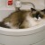 Uiro, of Nagoya's Cat Street. Uiro, of Nagoya's Cat Street.